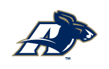 university-of-akron-logo-carousel